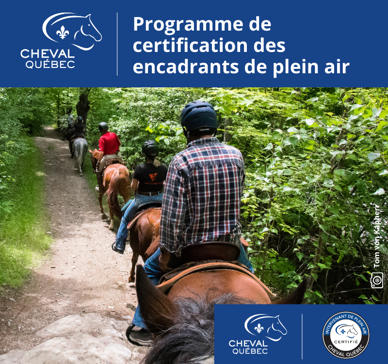 Guide de randonnées équestres